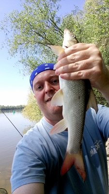 Tóthpál István - Last Fishie - A small barbel from Danube