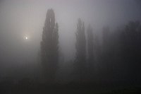 Fog - www.tothpal.eu