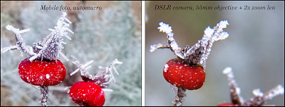 example: differences between mobile and DSLR camera - www.tothpal.eu