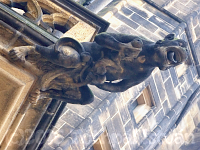 One of Gargoyles of St. Vitus Cathedral - Prague / Praha - Czech Republic - www.tothpal.eu