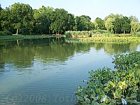 Dég, Festetics - castle and park - Hungary - www.tothpal.eu