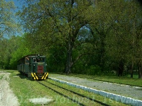 Gemenc forest - Hungary - www.tothpal.eu